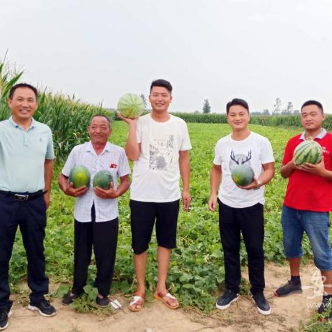 残疾证怎么申领?材料交了没下文、被退回、说不够残怎么办? 残疾证怎么申领?材料交了没下文、被退回、说不够残怎么办?