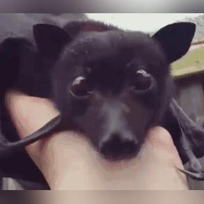 你是不是也这样