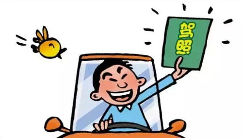 户籍地填错了，贷款被拒、孩子上学卡壳？一招教你填对不踩坑！