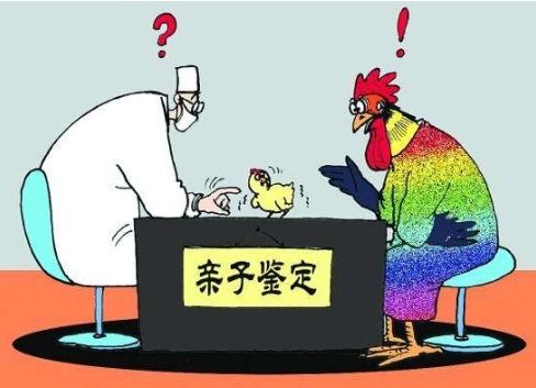 亲子鉴定到底怎么弄？不签字能做吗？孩子不配合怎么办？