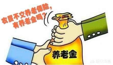 农村养老金怎么交？断缴3年还能补吗？60岁没交够15年咋办？