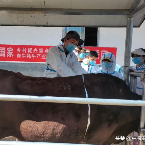 —一份普通人找自己档案的实操指南与权利清醒手册