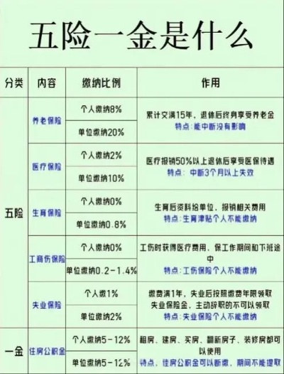 🔹五险怎么交？先破一个迷思