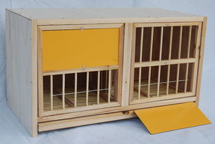 —别再翻箱倒柜找旧卡、别再被窗口一句去问单位打发走