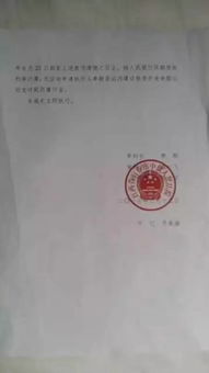 失信了还能坐高铁吗？被限高后买票秒退，到底卡在哪一环？