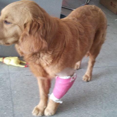 高铁票能改签吗?改签失败被扣全款,谁来担责? 高铁票能改签吗?改签失败被扣全款,谁来担责?