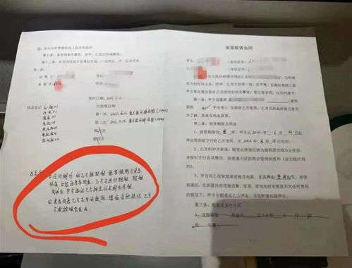 女生当兵到底要过几道关？体检过了政审卡住，算不算白忙一场？