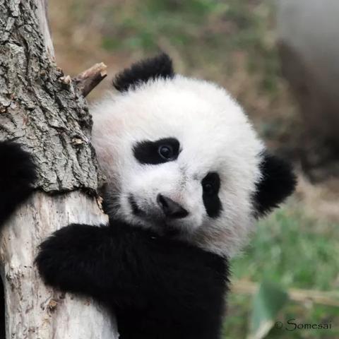 —别让无条件退货变成一句空话