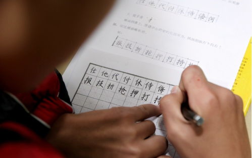 需和须，只差一个字，却可能让你签了字还输了官司？