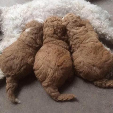 你是不是也常听到这些话