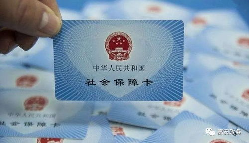 社保卡查不到缴费记录？官网打不开、信息对不上，到底该信谁？