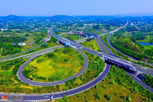 —四川打工人最该看清的社保真相