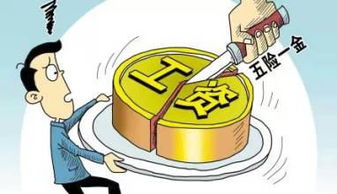 —不是公司发薪少了，是你的社保隐形缩水了