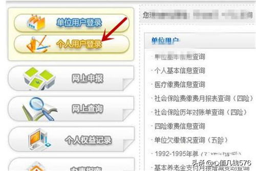 社保交了十年，查不到记录？个人社保怎么查？查到异常又该找谁？
