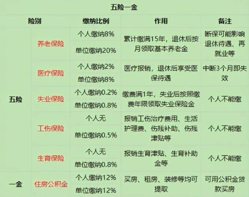 社保到底交了哪几份保险？别再把五险当成一个模糊概念了！