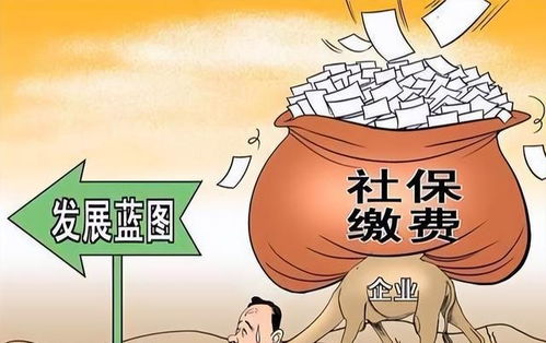 补缴社保像还人情债？拖了三年才想起来，还能补吗？