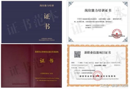 —一位执业12年、跑遍37家医院后勤科的医事律师手记