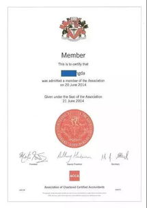 软著证书还没到手，作品却被抢先上架？申请流程卡在哪一步？