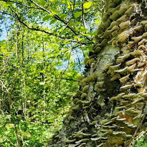 我们来捋一捋—