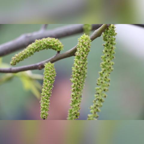 咱们一条条捋 咱们一条条捋