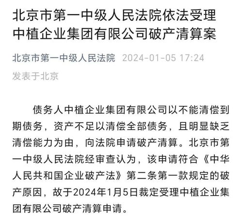 —一位执业12年破产律师的真心话
