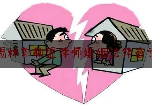 —一位离婚家事律师的坦诚手记 —一位离婚家事律师的坦诚手记