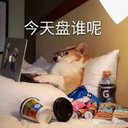 —别让该省的没省，该退的没退，悄悄吃掉你一年的火锅钱