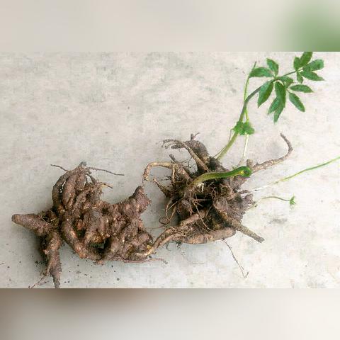 工资条上少了300块？浙江最低工资涨了，你的底薪跟上了吗？