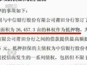 律师费到底怎么收？贵得离谱还是便宜得可疑？