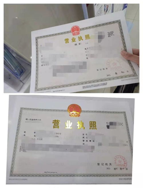 —一张营业执照背后的隐形分水岭，比财报还决定生死