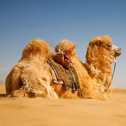 评上十级伤残，能赔多少钱？九级和八级差的真只是‘一级’吗？