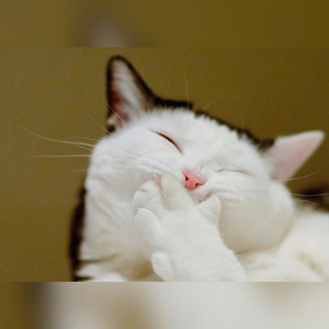 你是不是也遇到过这样的场景？