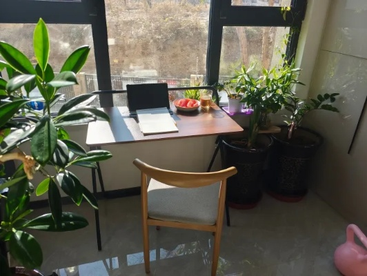 —一位老律师在冬至日看完自家阳台后写的实话