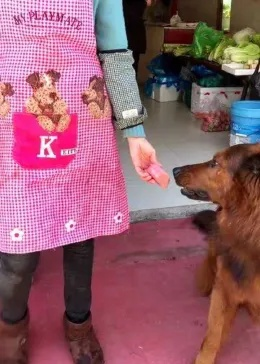 东西借出去就‘肉包子打狗’对方死活不还,报警能立案吗? 东西借出去就‘肉包子打狗’对方死活不还,报警能立案吗?