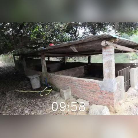 —一位刑辩律师摸着良心写的轻伤二级避坑指南