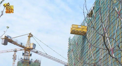 房子摇一摇就掉土块？危房鉴定到底卡在哪条线？