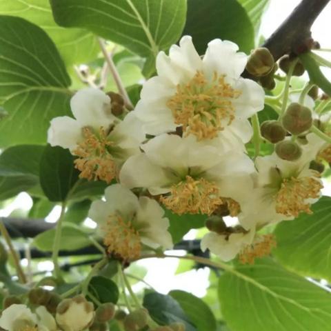 暖气不热还收全额供暖费?缴费前这3个‘温度红线’你得摸清! 暖气不热还收全额供暖费?缴费前这3个‘温度红线’你得摸清!