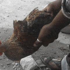 你有没有见过这样的场景? 你有没有见过这样的场景?