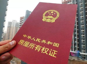 契税到底该去哪交?跑错税务局白排队,房产证卡在半路怎么办? 契税到底该去哪交?跑错税务局白排队,房产证卡在半路怎么办?