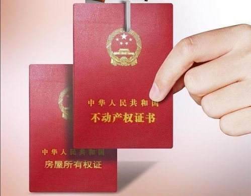 房产证到底在哪儿办？跑错窗口白排队，材料不全白跑三趟！