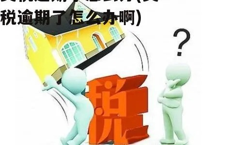 契税到底该去哪交？跑错窗口白排队，漏交一天多掏几万滞纳金！