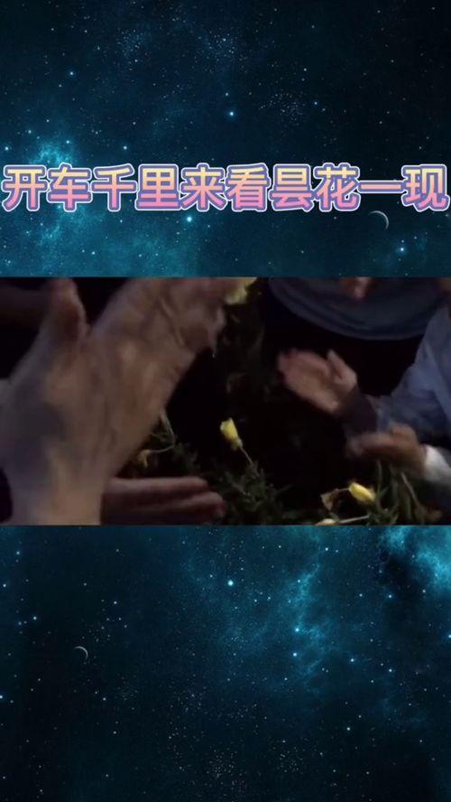 你有没有遇到过这样的场面? 你有没有遇到过这样的场面?