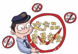 说真话会被罚吗?诚实行为的法律护身符,不是软肋而是盾牌! 说真话会被罚吗?诚实行为的法律护身符,不是软肋而是盾牌!