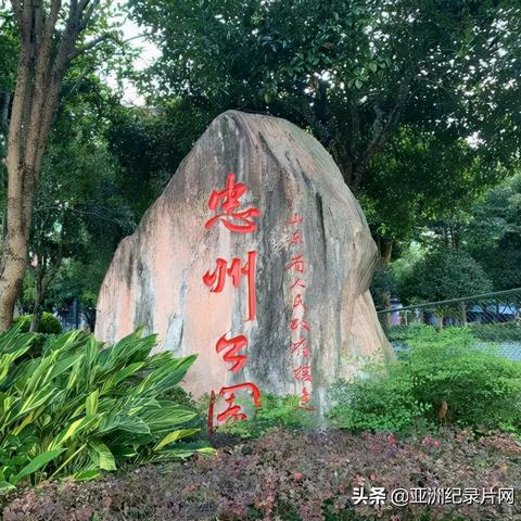 —一位移民律师手记，你以为的一签通行，可能正踩在法律雷区上