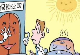 买车要买哪些保险？买了却赔不了，到底踩了哪些坑？