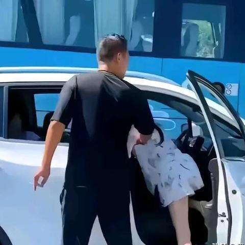 —资深行政法律师手把手拆解中国行政体系的真实模样