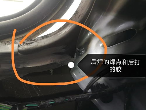 一、你以为的直系,可能从根上就错了 一、你以为的直系,可能从根上就错了