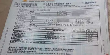 —老司机都在偷偷补的保单避坑指南 —老司机都在偷偷补的保单避坑指南