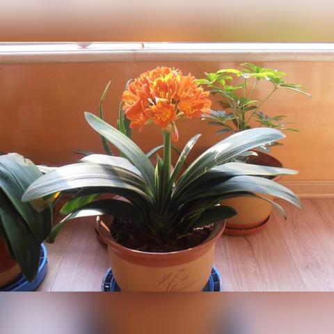 一、别再信隔夜酒不算酒一杯啤酒没事—时间≠安全，标准才说话