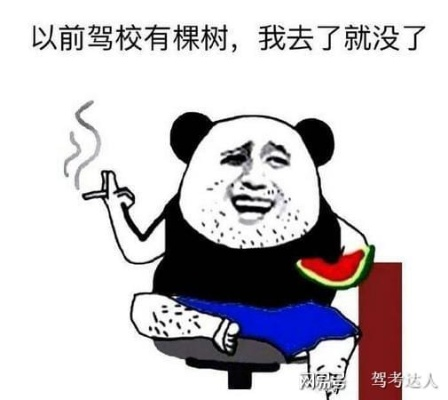 考驾照最快要多久？刚报完名就被催下月拿证，真能这么神速？